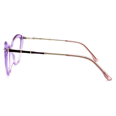 ოპტიკური სათვალე DACCHI D37017-1 C4 - Image 3