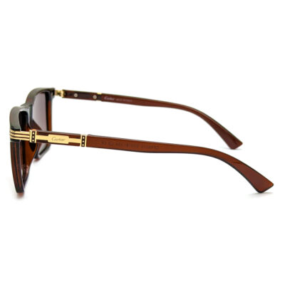 მზის სათვალე – CARTIER CF69019 - Image 3